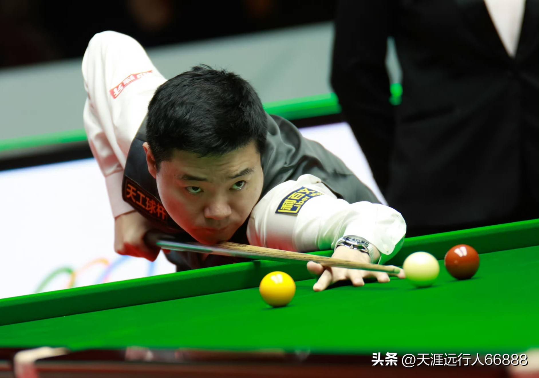 的紧密合作 的紧密合作